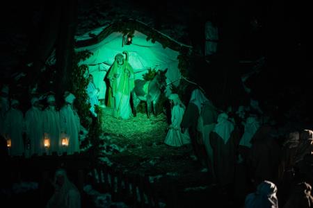 Predstava Božična noč pri Ivanovem izviru, sezona 2014-2015 41